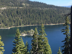 Meet your Posher, Cecil